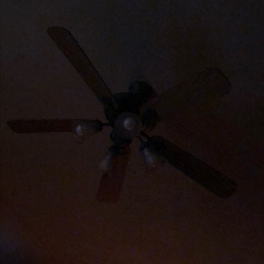 Meet your Posher, Zack